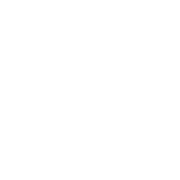 Icon-Bookmark