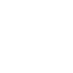 Icon-Quote/budget