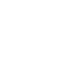 Icon-Missing-Records-Identification